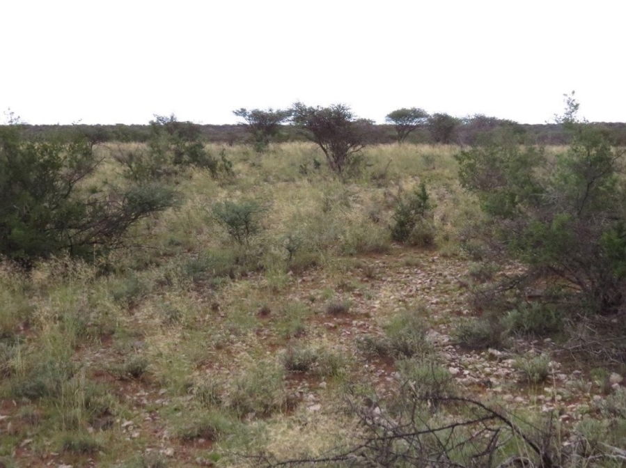  Bedroom Property for Sale in Douglas Rural Northern Cape